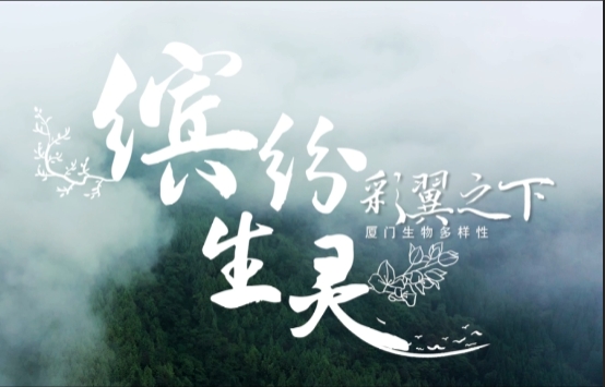 缤纷盛厦-《彩翼之下》