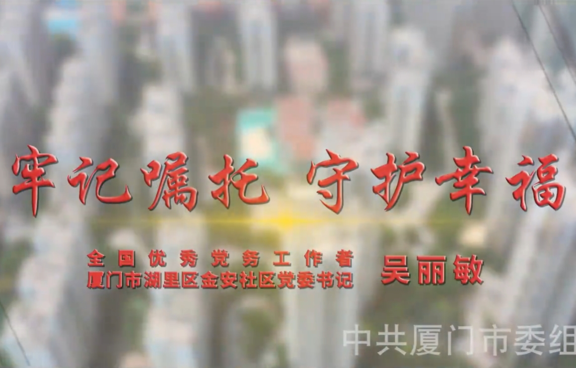 《牢记嘱托 守护幸福》全国优秀党务工作者吴丽敏