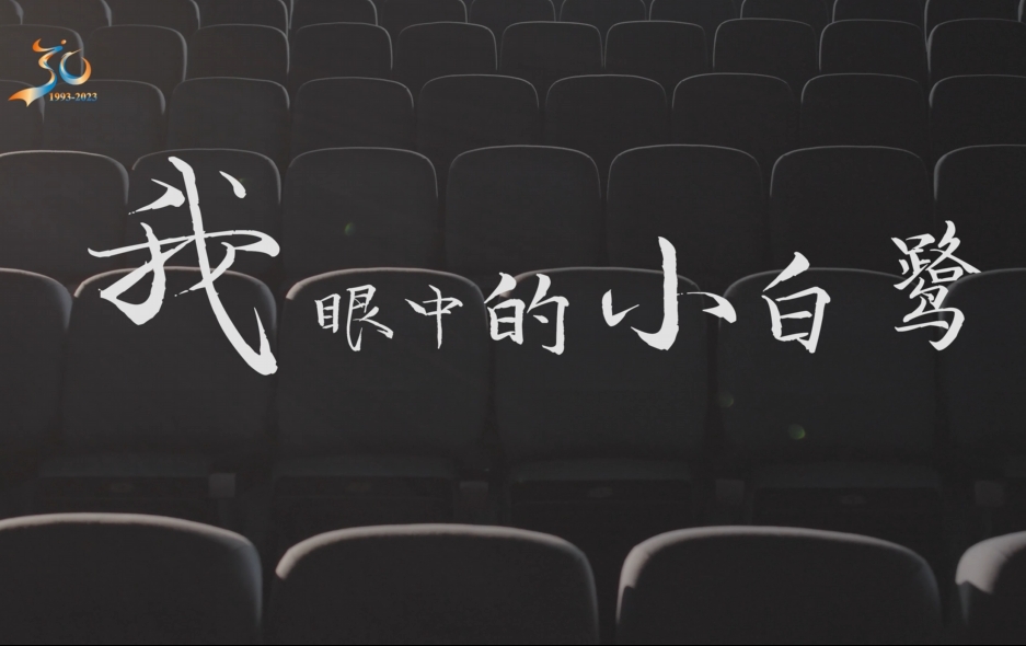 （3）小白鹭30周年纪录片市民眼中小白鹭