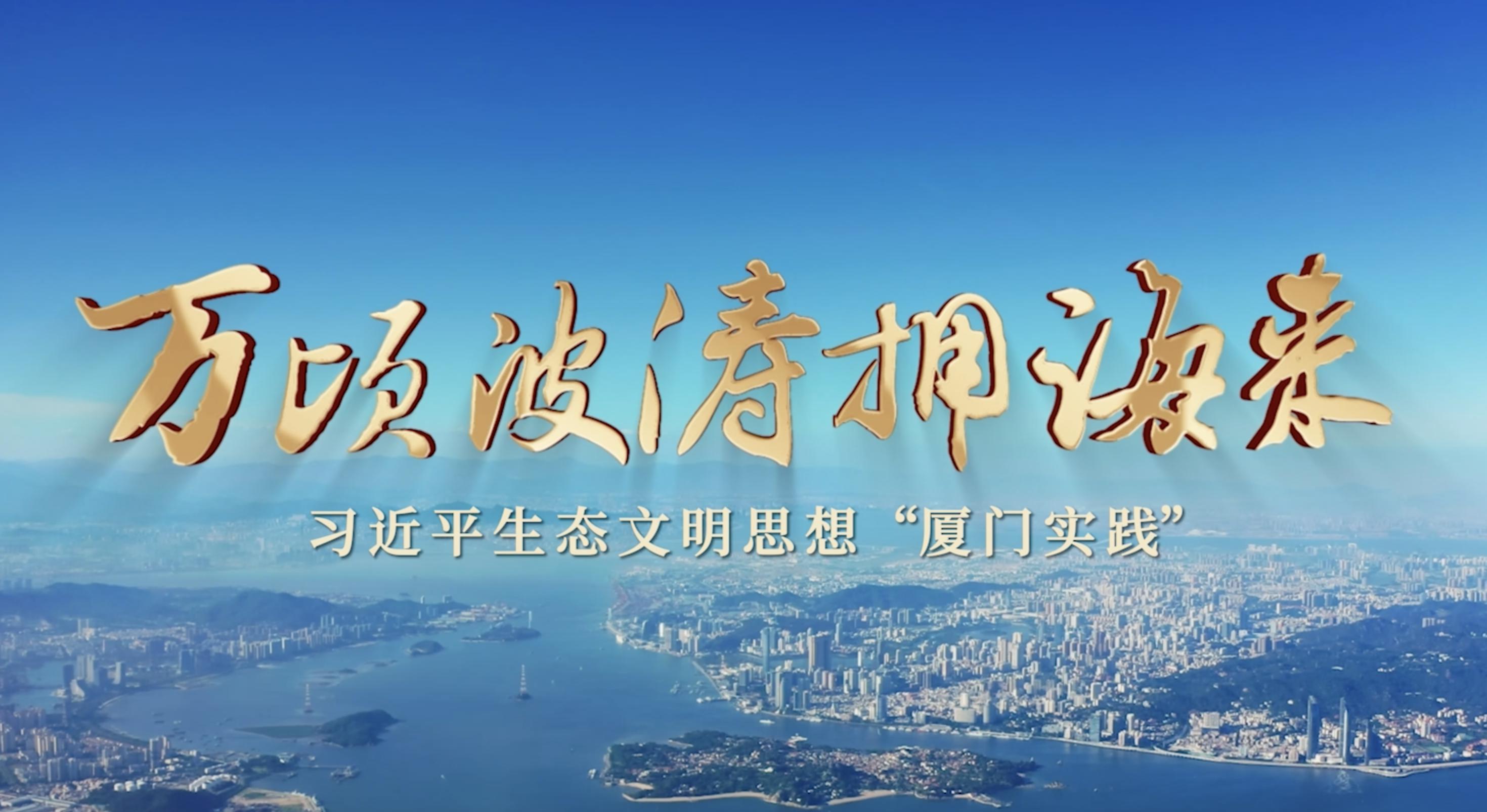 第六集 白海豚的愿景